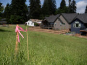 Survey flags placed by Clark County Public Works crews at Cougar Creek Woods Community Park sparked concerns among neighbors abut what the county is planning for the property.