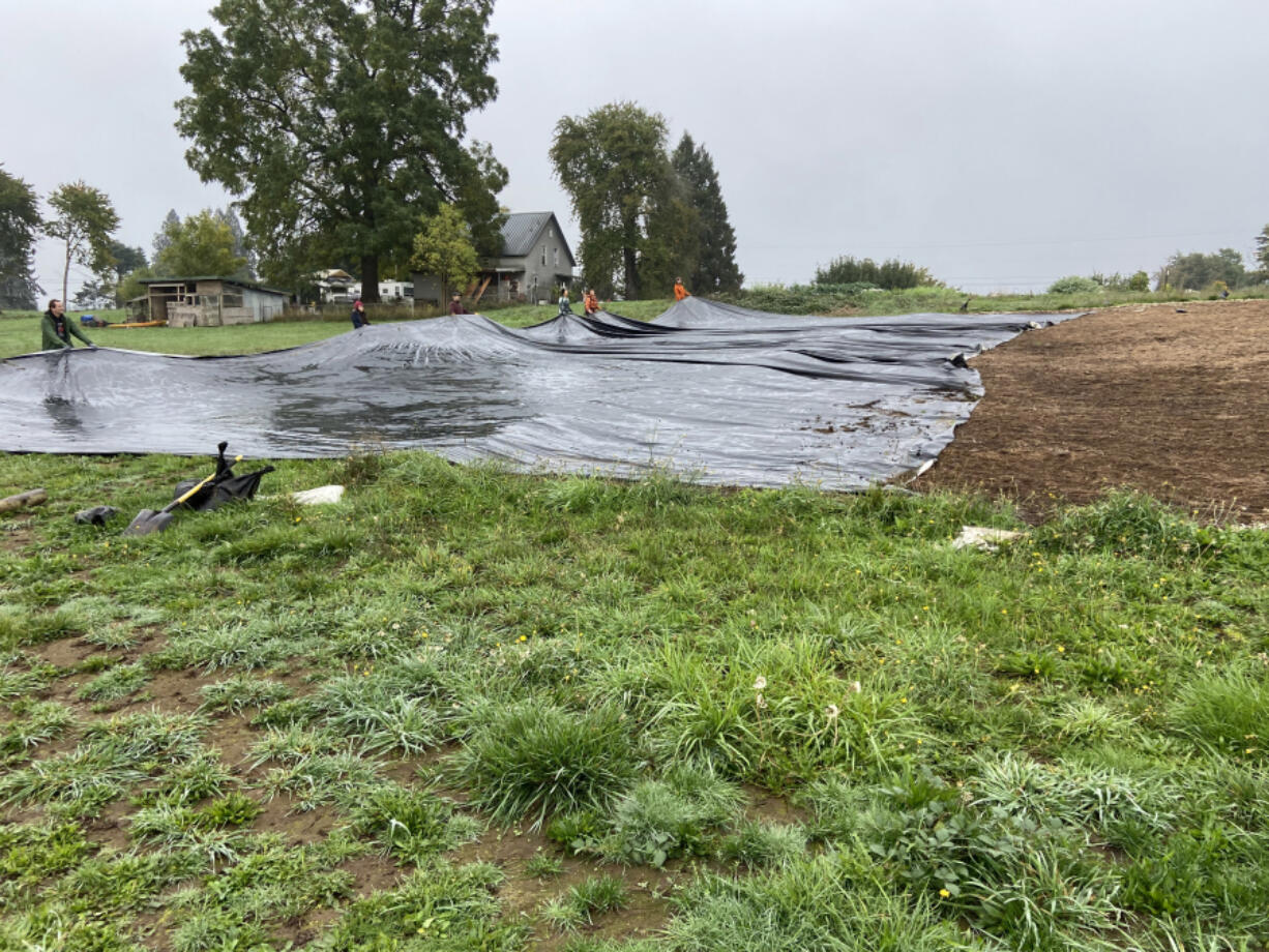 The Port of Vancouver and the Vancouver Bee Project are collaborating on a new bee habitat on port property. To prepare the property, a 40-by-100-foot tarp was laid down to kill off unwanted grasses, weeds and plants.