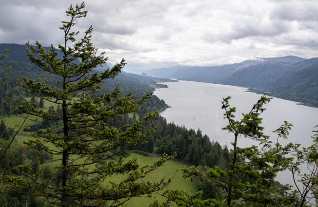 The Washington side of the Columbia River Gorge, left, stretches below the Cape Horn lookout on Tuesday morning. Western Washington&rsquo;s rainy weather doesn&rsquo;t eliminate wildfire risk.