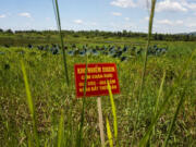 FILE - In this Aug. 9, 2012, file photo, a warning sign stands in a field contaminated with dioxin near Danang airport, during a ceremony marking the start of a project to clean up dioxin left over from the Vietnam War, at a former U.S. military base in Danang, Vietnam. The sign reads; "Dioxin contamination zone - livestock, poultry and fishery operations not permitted." Vietnam and the United States have finished cleaning up dioxin contamination at the airport caused by the transport and storage of the herbicide on and around the area.