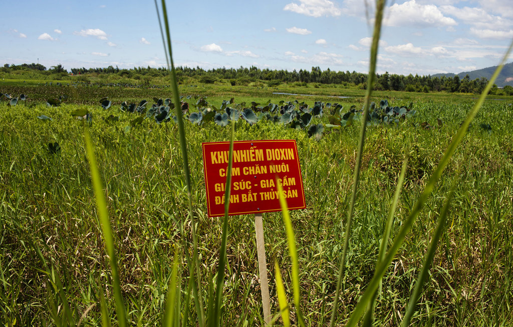 FILE - In this Aug. 9, 2012, file photo, a warning sign stands in a field contaminated with dioxin near Danang airport, during a ceremony marking the start of a project to clean up dioxin left over from the Vietnam War, at a former U.S. military base in Danang, Vietnam. The sign reads; "Dioxin contamination zone - livestock, poultry and fishery operations not permitted." Vietnam and the United States have finished cleaning up dioxin contamination at the airport caused by the transport and storage of the herbicide on and around the area.
