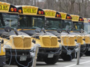 FILE - A row of school buses rests in a parking lot, April 7, 2020, in Cleveland Heights, Ohio. About 7 in 10 AAPI adults approve of K-12 public schools teaching about the history of slavery, racism and segregation, according to a new poll from AAPI Data and The Associated Press-NORC Center for Public Affairs Research. A similar share also support teaching about the history of Asian American and Pacific Islander communities in the United States, while about half support teaching about issues related to sex and sexuality.