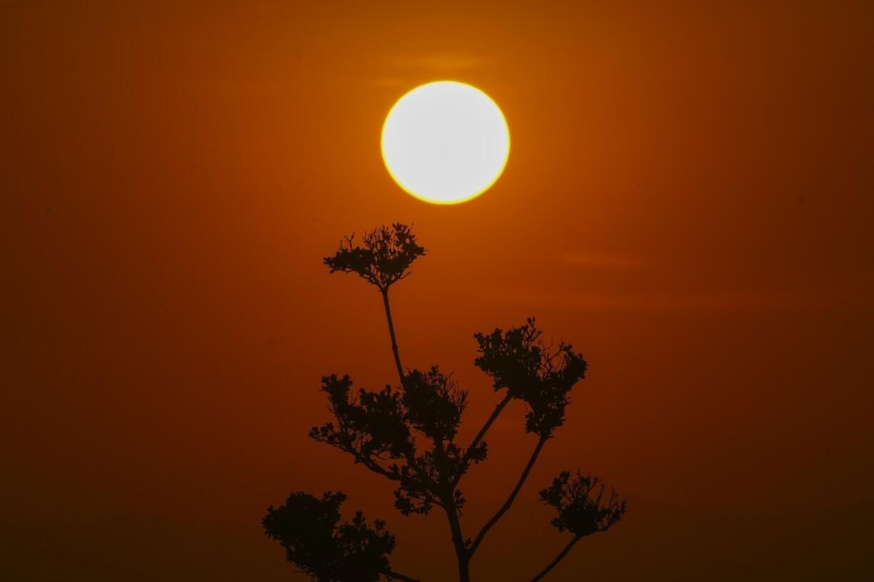 The sun rises amid high temperatures in Mexico City, Thursday, May 23, 2024. Extreme heat in Mexico, Central America and parts of the U.S. South has left millions of people in sweltering temperatures, strained energy grids and resulted in iconic Howler monkeys in Mexico dropping dead from trees.