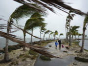 FILE - Bob Givehchi, right, and his son Daniel, 8, Toronto residents visiting Miami for the first time, walk past debris and palm trees blowing in gusty winds, at Matheson Hammock Park in Coral Gables, Fla., Dec. 15, 2023. Nearly all the experts think 2024 will be one of the busiest Atlantic hurricane seasons on record.