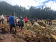 In this photo provided by the International Organization for Migration, people cross over the landslide area to get to the other side in Yambali village, Papua New Guinea, Friday, May 24, 2024. More than 100 people are believed to have been killed in the landslide that buried a village and an emergency response is underway, officials in the South Pacific island nation said. The landslide struck Enga province, about 600 kilometers (370 miles) northwest of the capital, Port Moresby, at roughly 3 a.m., Australian Broadcasting Corp. reported.