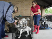 Brittney Richell, left, and Vanessa Valdez, of the Red Cross, tag dog kennels after the animals were evacuated from flooded areas to a Red Cross shelter set up at Sts. Simon and Jude Catholic Church in The Woodlands, Texas Friday, May 3, 2024.