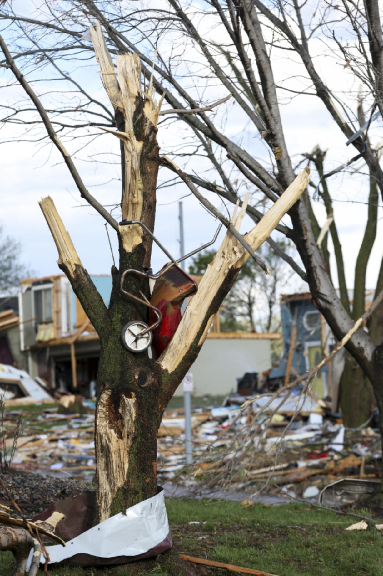 A wheelbarrow is seen lodged in a damaged tree after a tornado leveled dozens of homes near Omaha. Neb. on Friday, April 26, 2024.