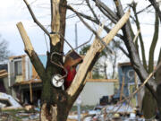 A wheelbarrow is seen lodged in a damaged tree after a tornado leveled dozens of homes near Omaha. Neb. on Friday, April 26, 2024.