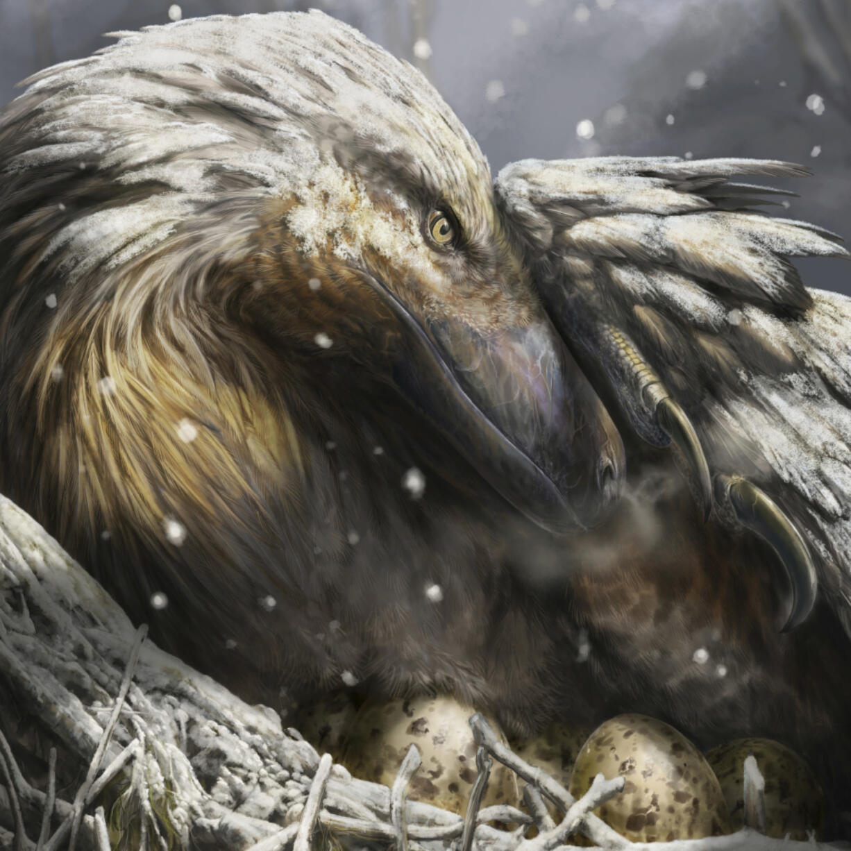 This illustration depicts a dromaeosaur incubating its eggs as snow falls. The raptor, along with other select dinosaurs, may have evolved to be warm-blooded 180 million years ago, according to research published Wednesday.