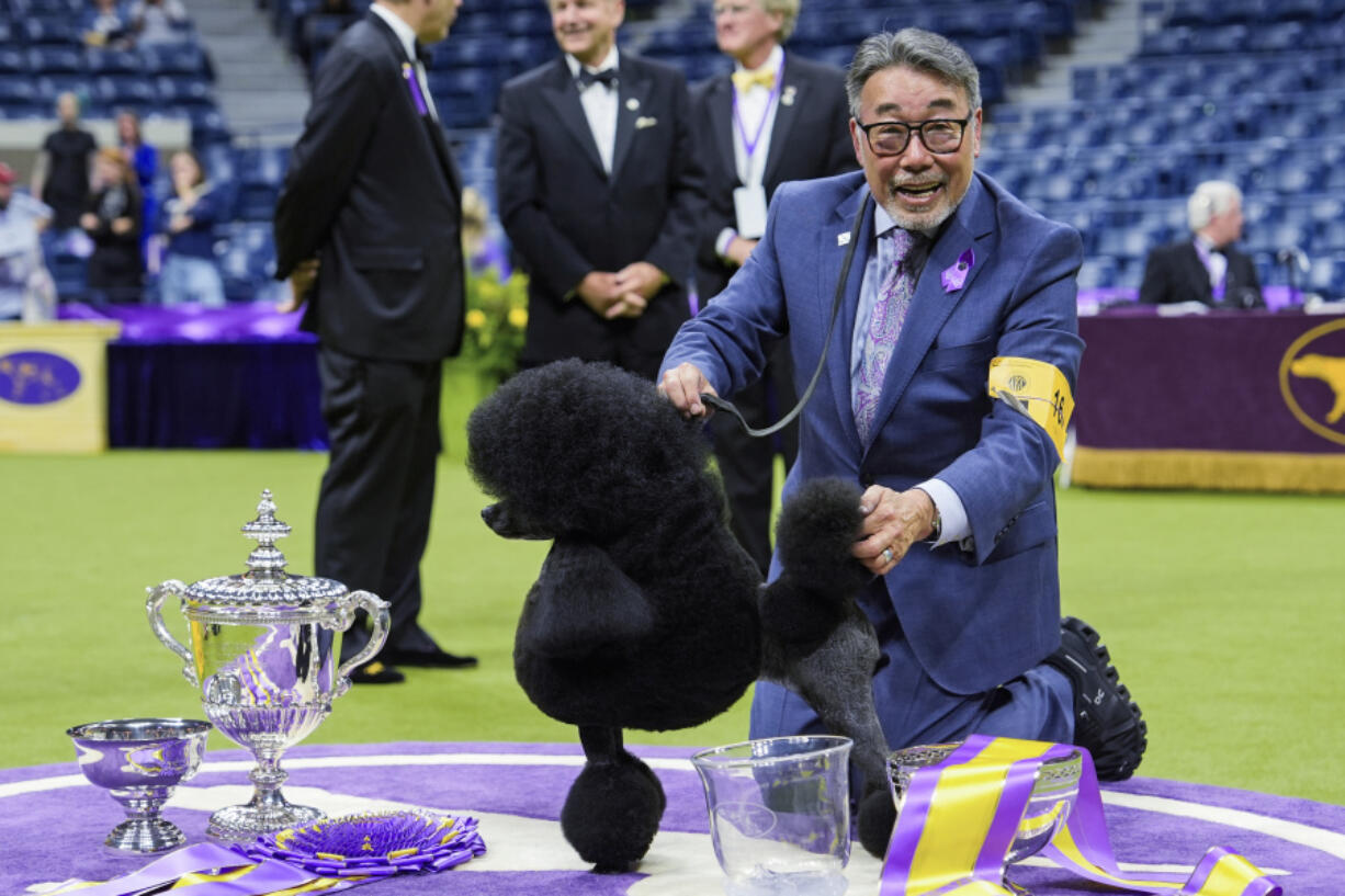 Sage, a miniature poodle, poses for photos after winning best in show at 148th Westminster Kennel Club dog show Tuesday, May 14, 2024, at the USTA Billie Jean King National Tennis Center in New York.