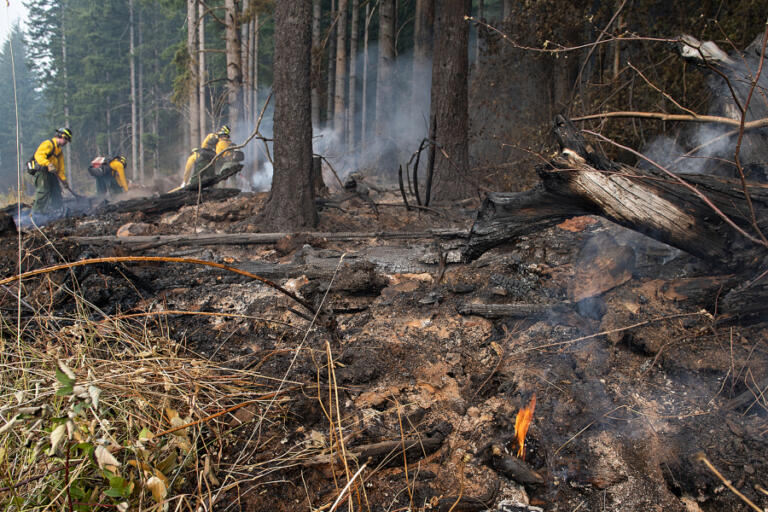 Clark County&rsquo;s 2022 Nakia Creek Fire led to mass evacuations, which had been unusual here before.