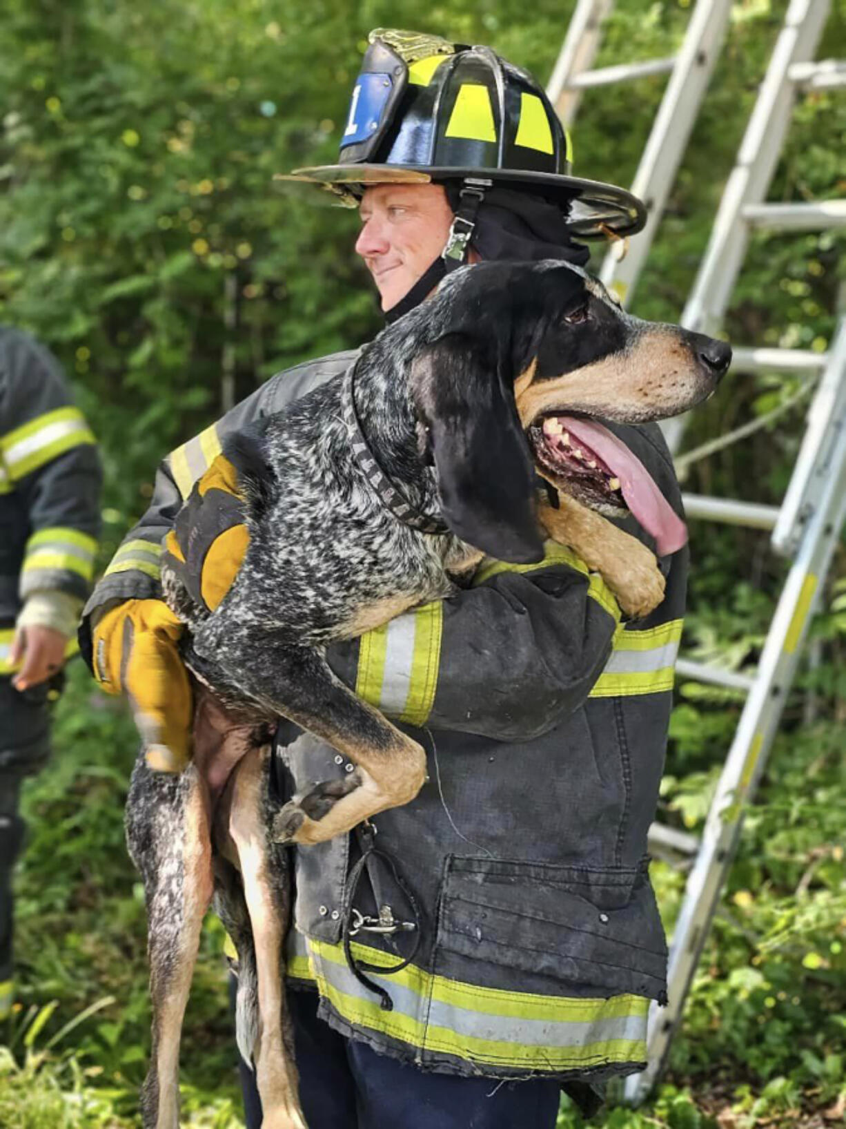 A firefighter holds Tator, who authorities described as a bluetick coonhound, after rescuing him from about 20 feet up in a tree.