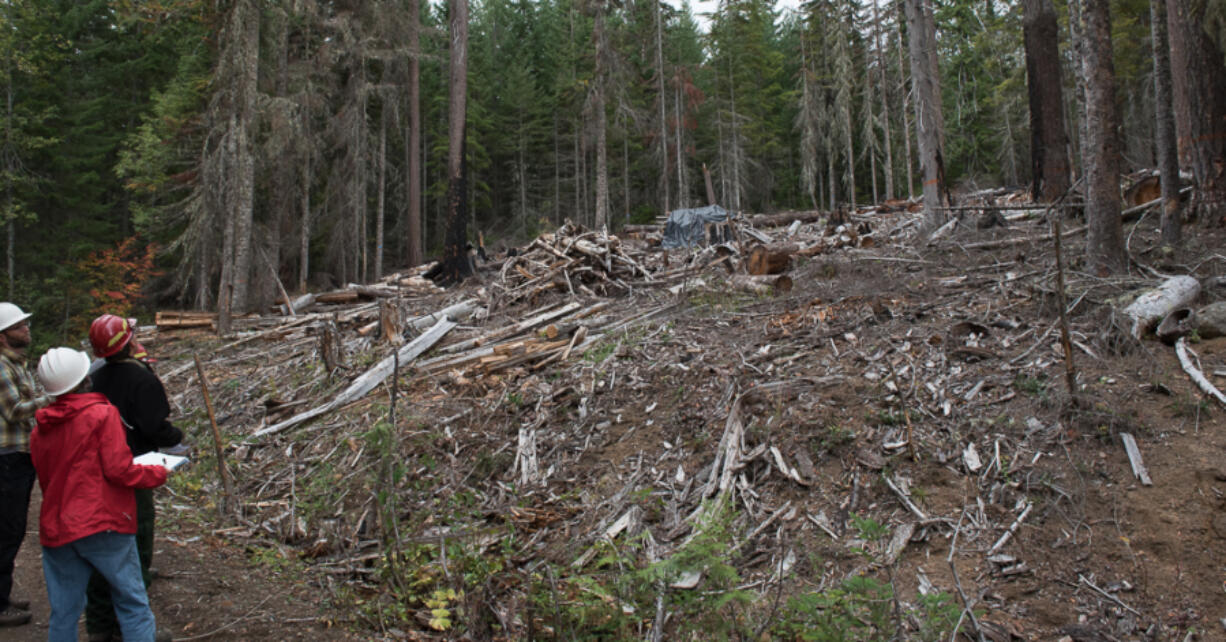 Tearing up: Progress on display near Trout Lake in the Gifford Pinchot National Forest.