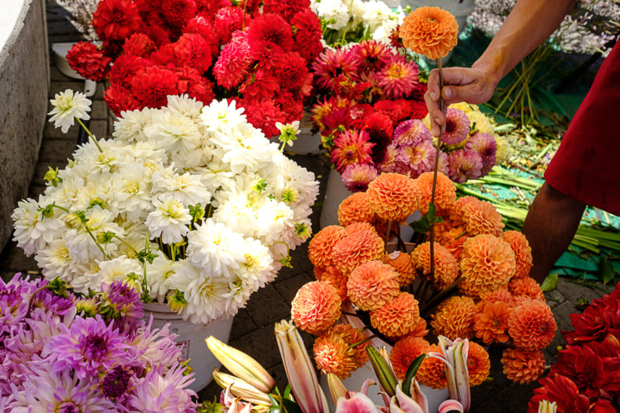 A flower vendor picks out a flower for a custom bouquet at the East Vancouver Farmers Market in 2016.