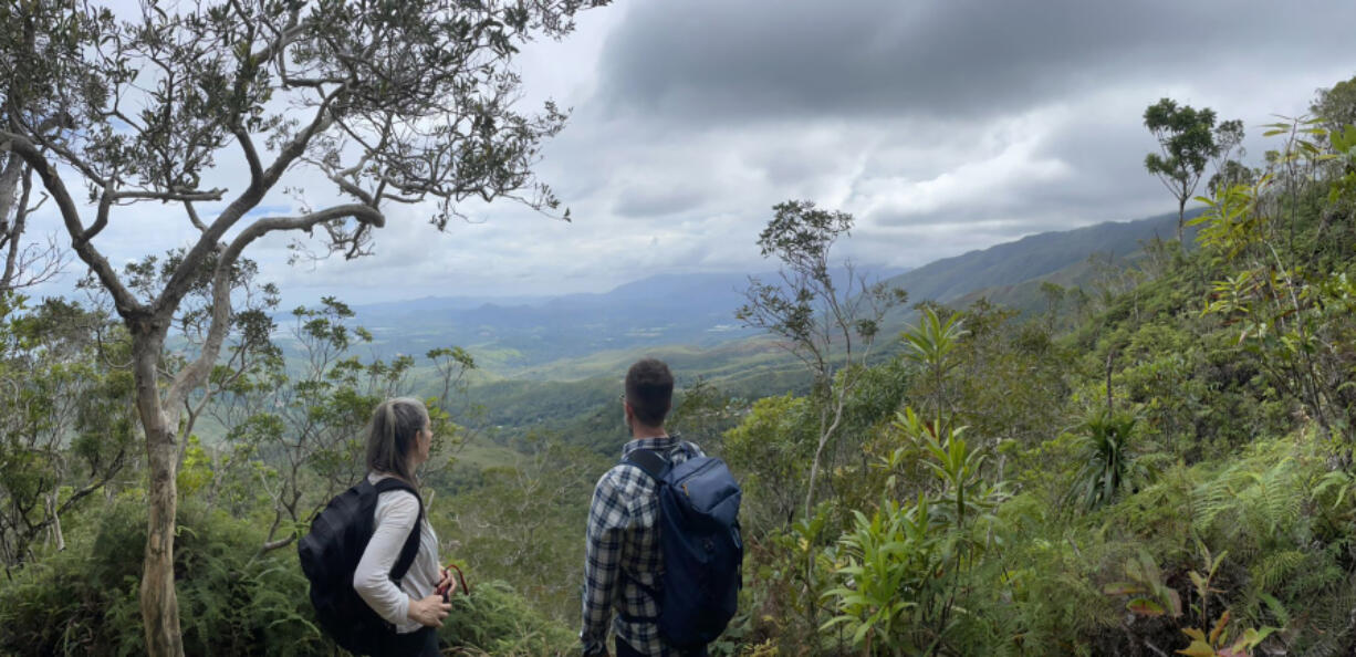 Researchers look out over the landscape of New Caledonia, where they studied T. oblanceolata, a species of fork fern just 4 to 6 inches tall.