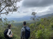 Researchers look out over the landscape of New Caledonia, where they studied T. oblanceolata, a species of fork fern just 4 to 6 inches tall.