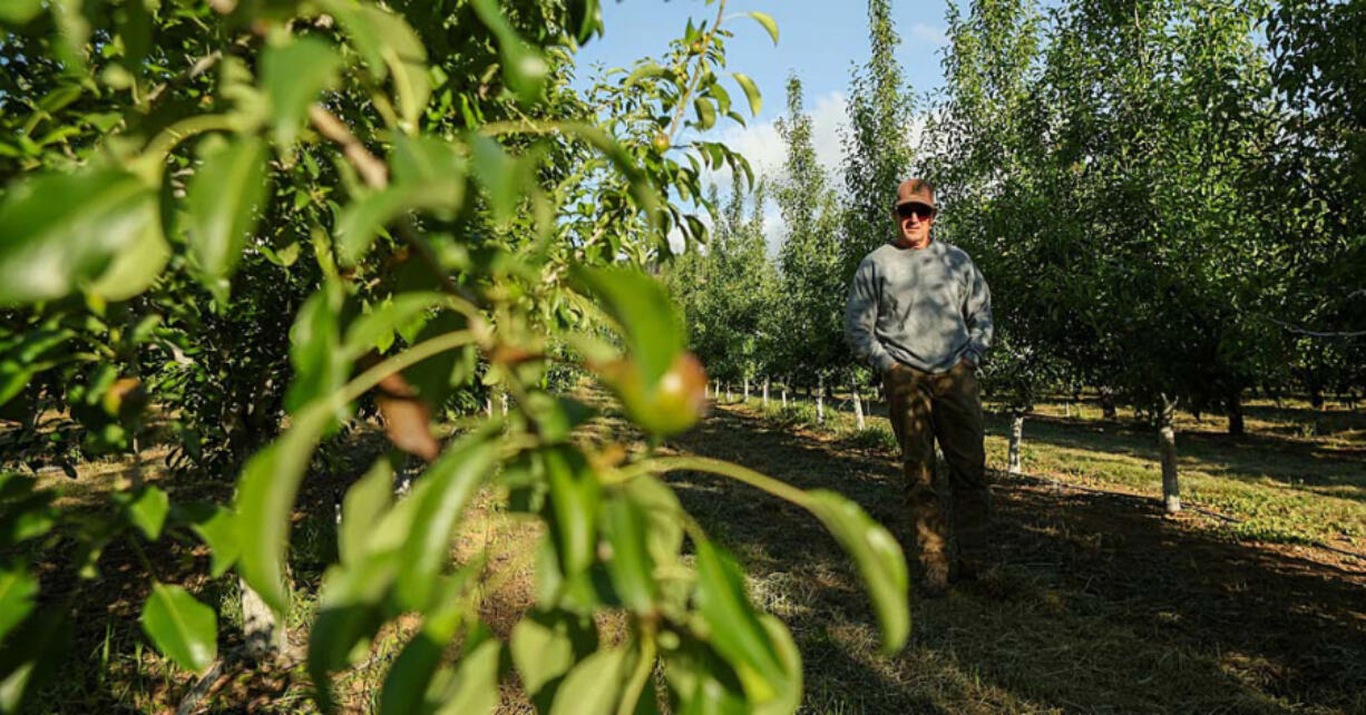 It isn&rsquo;t just humans that crave Jeff McNerney&rsquo;s crops in Oregon&rsquo;s Hood River Valley.