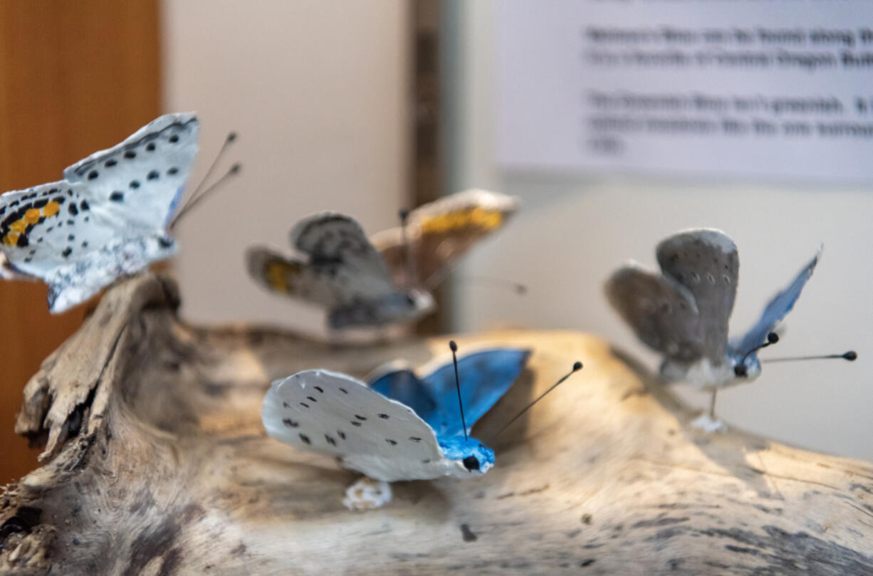 Papier-m&acirc;ch&eacute; butterflies made by local enthusiast Jeff Hill are on display this month at the Cascade Park Library branch.