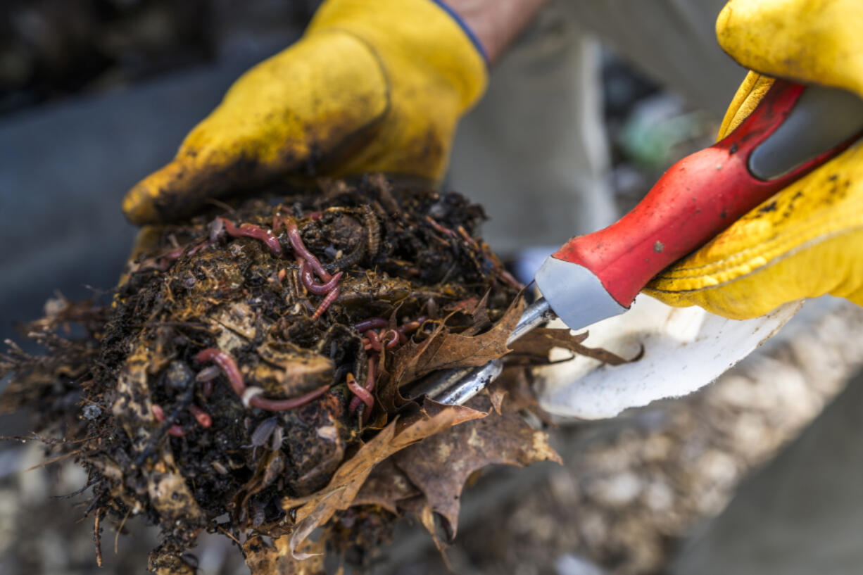 Composting at the 78th Street Heritage Farm plays a key role in creating a sustainable garden. Residents can learn more about composting during Clark County Green Neighbors&rsquo; gardens tour June 23.