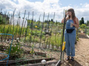 Clark County Green Neighbors community outreach coordinator Bethanie Collette looks over a garden at 78th Street Heritage Farm in Hazel Dell. The garden is just one of dozens visitors will learn about during Clark County Green Neighbors&rsquo; upcoming garden tour.