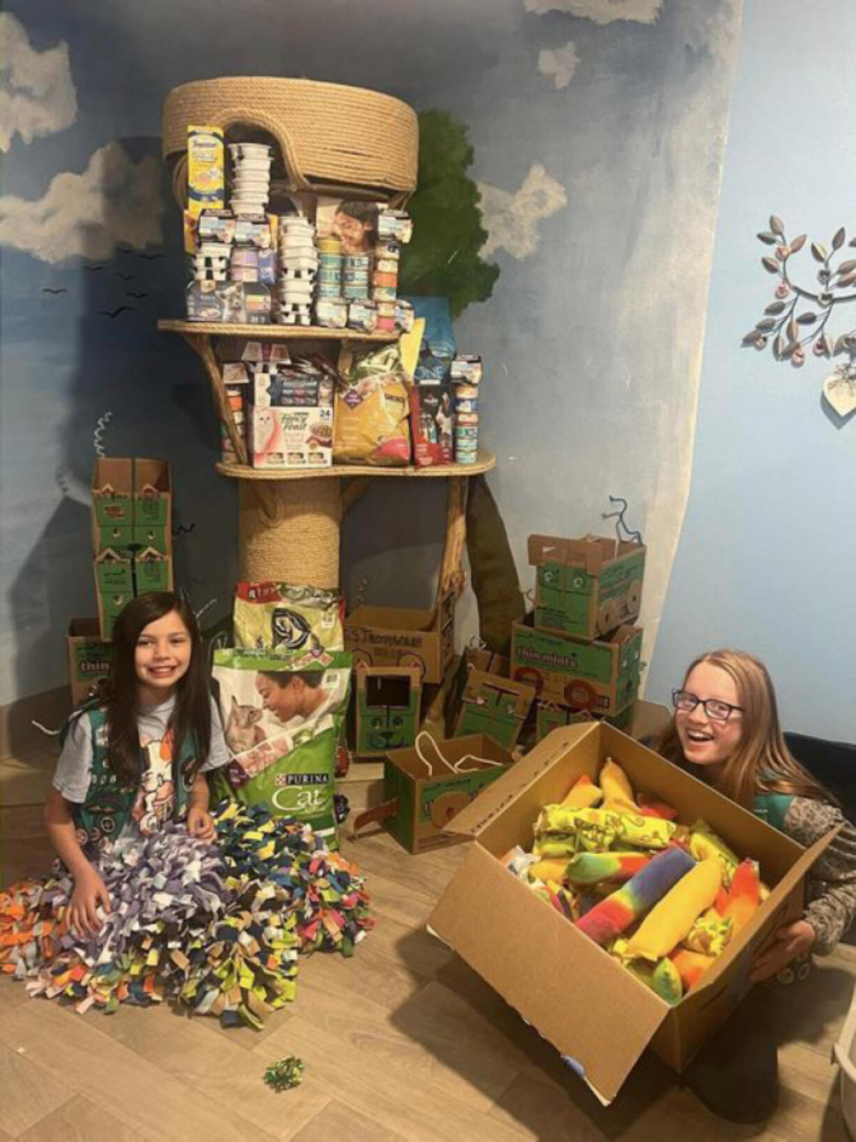 Girl Scout Troop 60623 spent the last few months collecting donations for Furry Friends Cat Shelter.