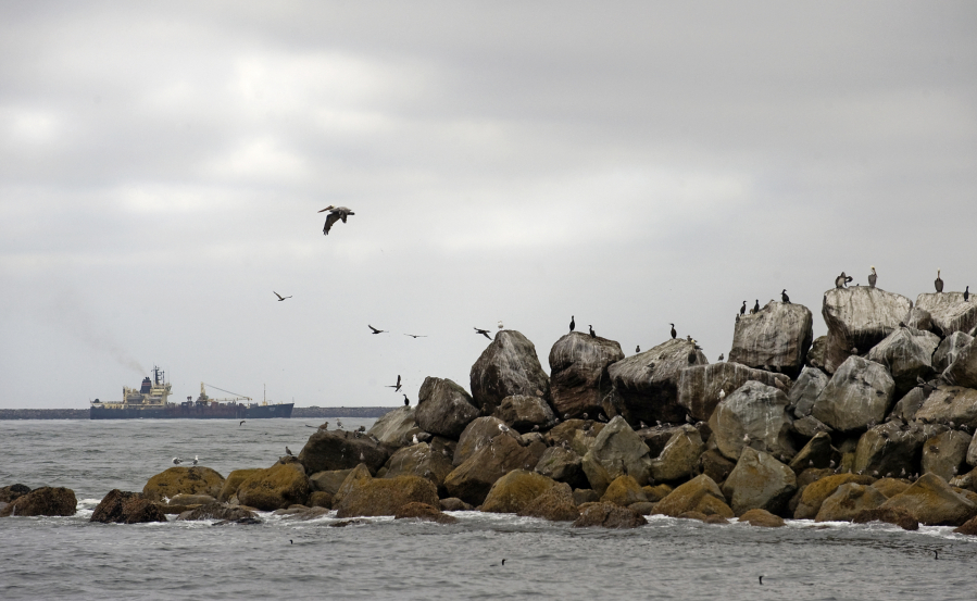 Birds fly around and perch on the South Jetty at the mouth of the Columbia River as one of two dredging ships passes through the channel in 2009. The U.S. Army Corps of Engineer&rsquo;s project to repair the river jetties is expected to be completed in October 2025.