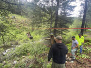 In this image provided by the Baker County Sheriff's Office, responders aid in rescue efforts after a vehicle went into an embankment on U.S. Forest Service Road 39 on June 3, 2024, in Oregon. A dog helped his owner get rescued after the crash by traveling nearly four miles to the campsite where the man was staying with family, which alerted them that something was wrong, authorities said.