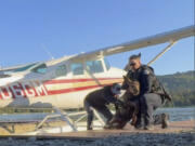 In this image taken from video provided by Spencer Warren, who works for a wilderness guiding service, he arrived about 6:30 a.m. Friday, June 14, 2024, to prepare the floatplane for a client&rsquo;s trip when he discovered the calf trapped in Beluga Lake in Homer, Alaska. Warren and two police officers rescued the baby calf from what police described as &ldquo;a sure demise&rdquo; after it fell into a lake and got stuck in a narrow space between a floatplane and a dock.