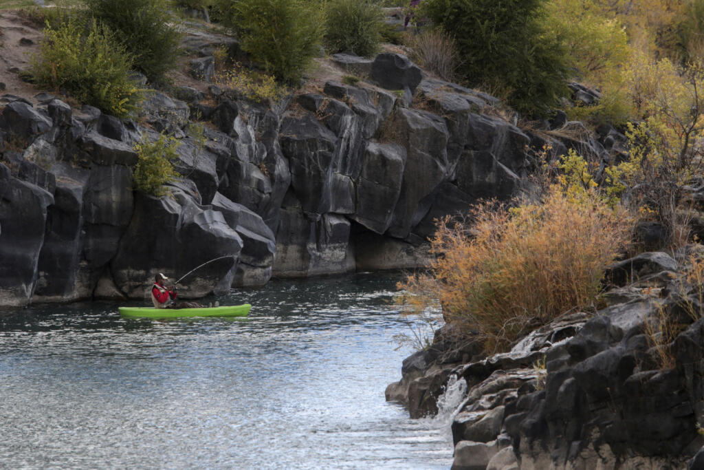 FILE - A man hooks a fish on the Snake River in Idaho Falls, Idaho, on Sunday, Oct. 11, 2020. The U.S. government on Tuesday, June 18, 2024, acknowledged for the first time the harms that the construction and operation of dams on the Columbia and Snake rivers in the Pacific Northwest have caused Native American tribes, issuing a report that details how the unprecedented structures devastated salmon runs, inundated villages and burial grounds, and continue to severely curtail the tribes' ability to exercise their treaty fishing rights.