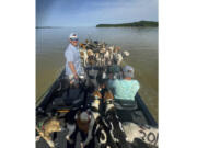 Fisherman Brad Carlisle, left, and fishing guide Jordan Chrestman bring one of three boatloads of dogs back to shore after they were found struggling to stay above water far out in Mississippi&rsquo;s Grenada Lake.