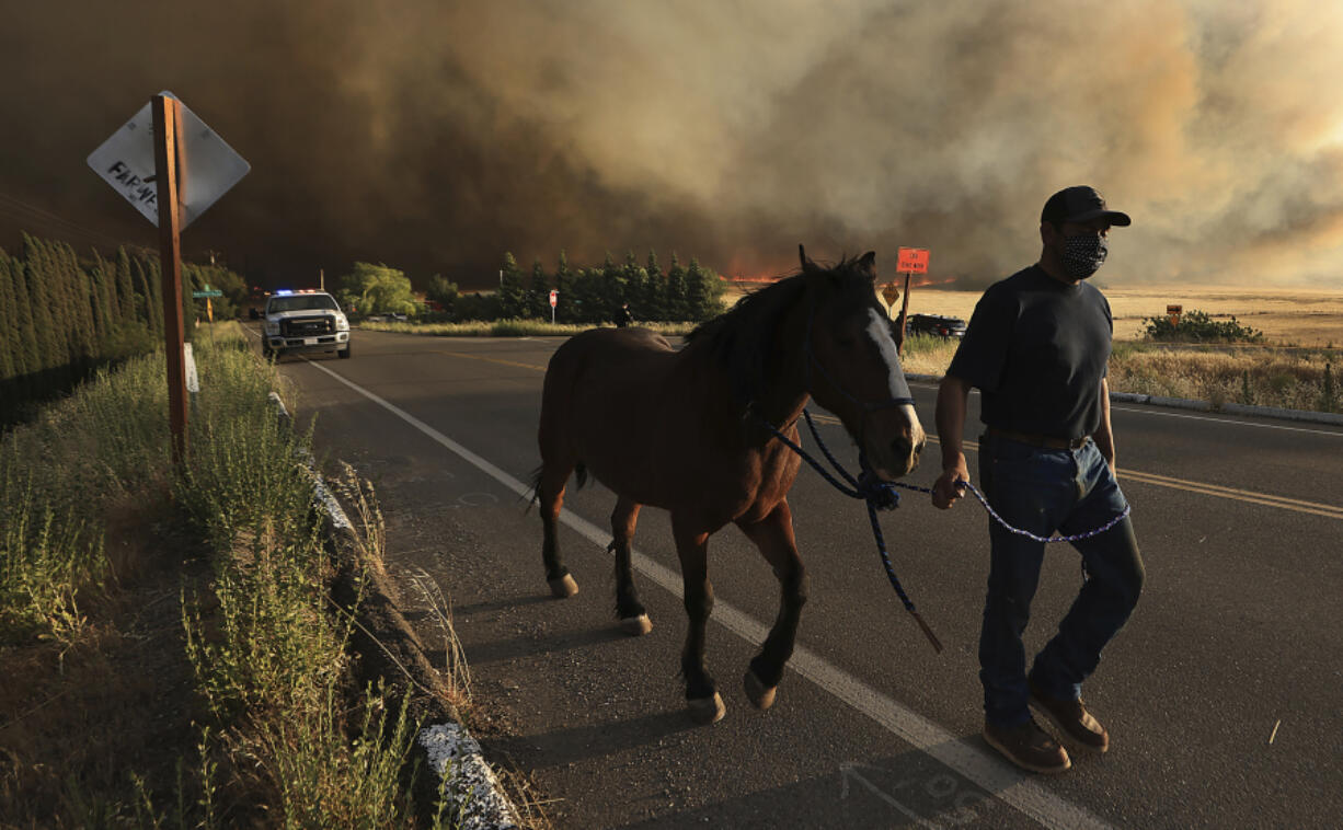 A resident of of Vernalis Road evacuates his horse as the Corral Fire bears down on ranches west of Tracy, Calif., Saturday, June 1, 2024. The California Department of Forestry and Fire Protection, or Cal Fire, says gusty winds were fueling the Corral Fire that began Saturday afternoon and continued early Sunday morning near the city of Tracy, 60 miles east of San Francisco.