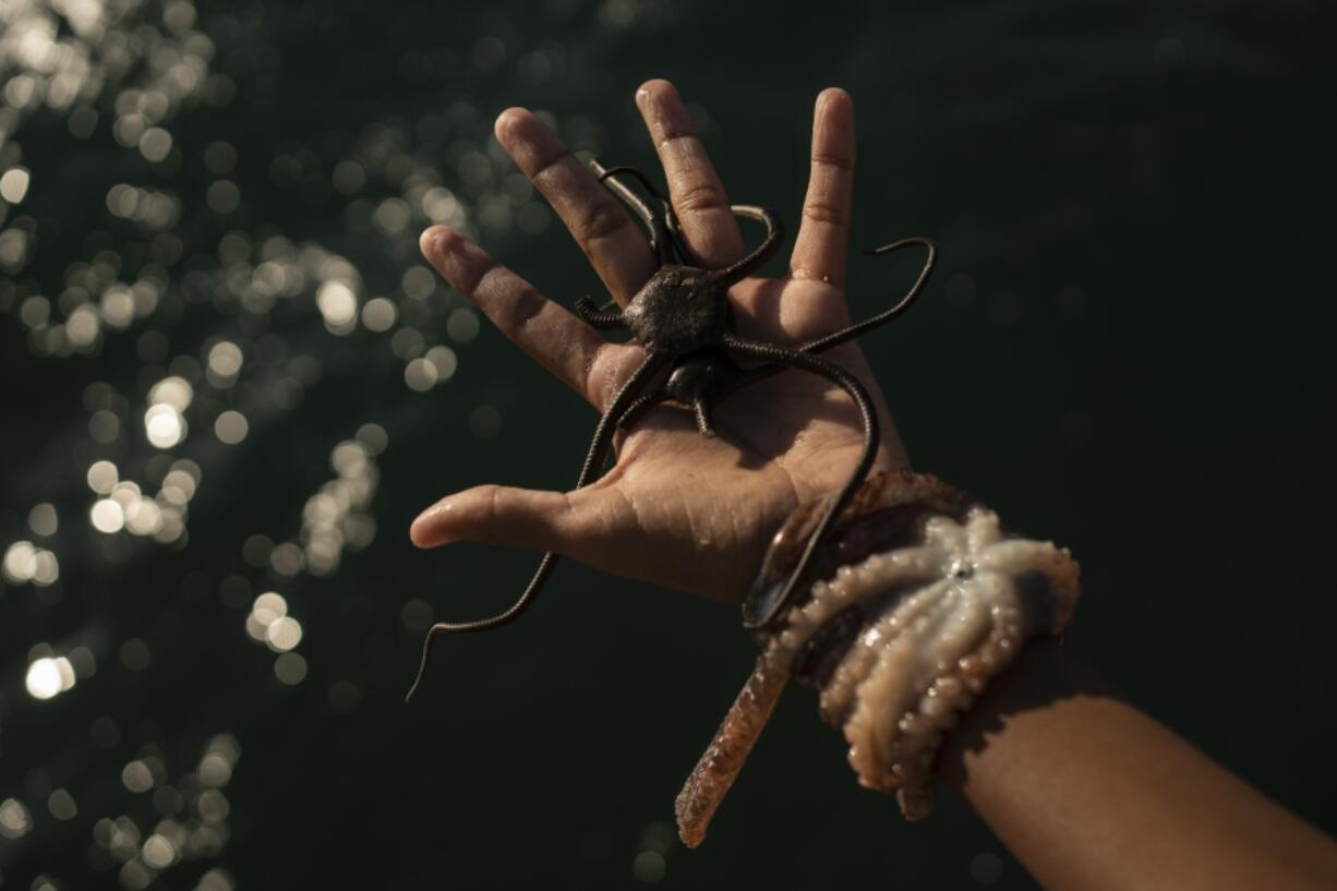 Rafael Murillo, a young diver who performs shows in the sea for tips, shows a starfish and an octopus to women resting on a boardwalk to cool off from the heat in Veracruz, Mexico, on June 15, 2024. Human-caused climate change intensified and made far more likely this month&rsquo;s killer heat with triple digit temperatures, a new flash study found Thursday, June 20.