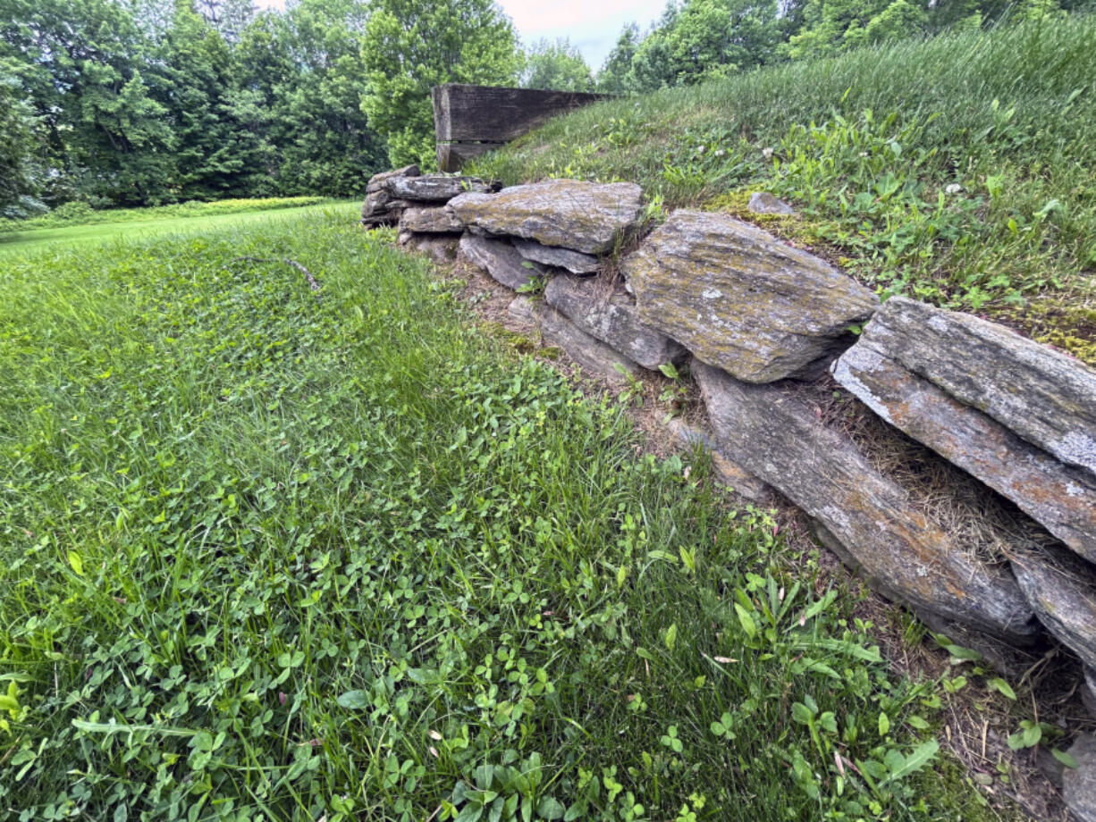 A lawn with a mix of grass and other groundcovers appears at a property in Waitsfield, Vt. on Tuesday, June 11, 2024. If your lawn is large, consider replacing part of it with flower beds and borders, or a groundcover like clover.