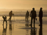 FILE - Visitors look for clams to dig along the beach at Fort Stevens State Park, Feb. 9, 2016, in Warrenton, Ore. Oregon authorities closed the state&#039;s entire coastline Thursday, May 30, 2024, to mussel harvesting in response to an &ldquo;unprecedented&rdquo; outbreak of shellfish poisoning that has sickened at least 20 people. They&#039;ve also closed parts of the Oregon coast to harvesting razor clams, bay clams and oysters.