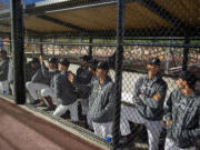 The Ridgefield Raptors in the dugout watch the exhibition game against the Cowlitz Black Bears on Thursday, May 30, 2024, at the Raptors home field.