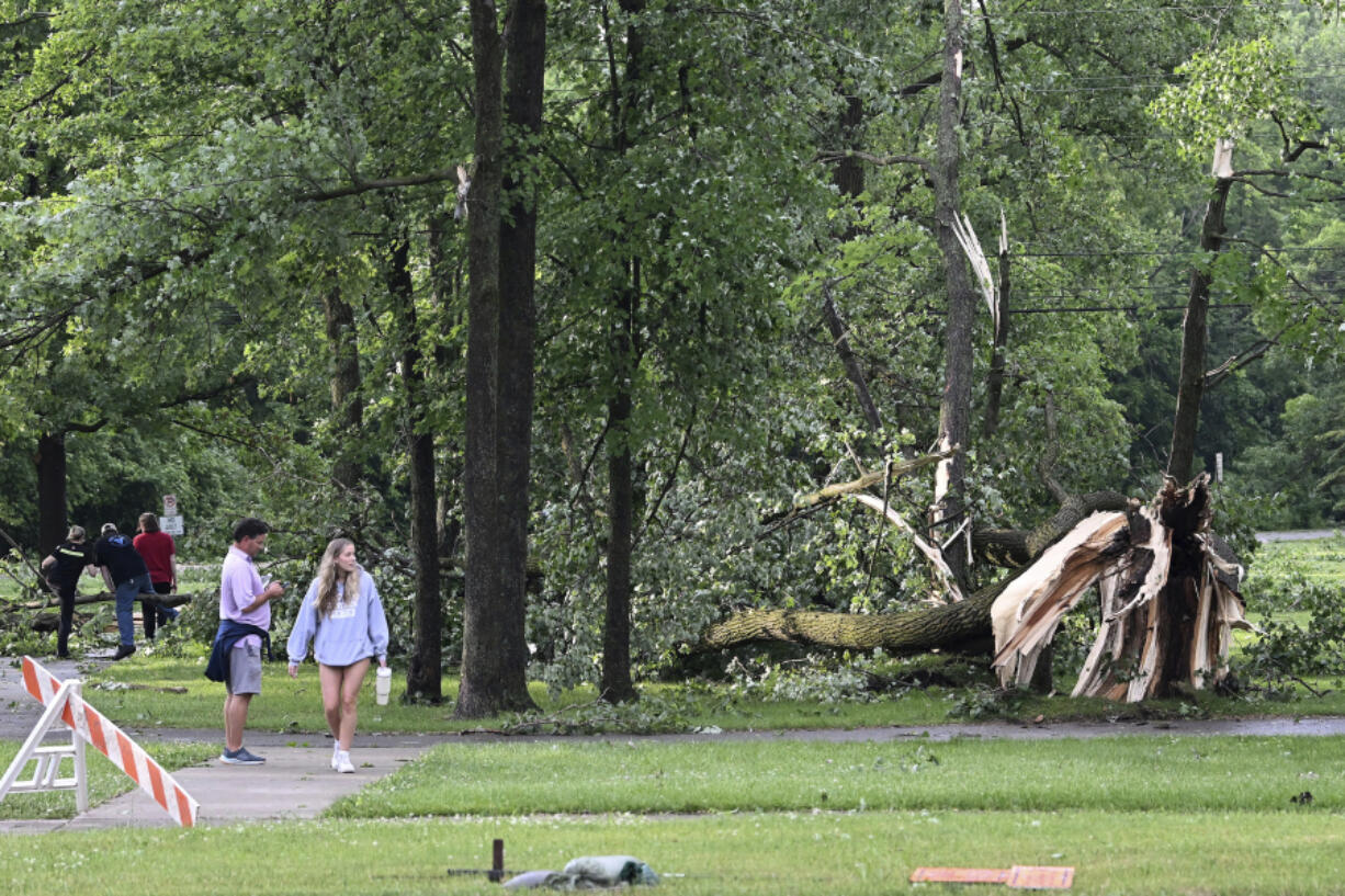 People walk around Rotary Park looking at downed trees after a tornado swept through the area in Livonia, Mich., Wednesday, June 5, 2024.