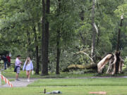 People walk around Rotary Park looking at downed trees after a tornado swept through the area in Livonia, Mich., Wednesday, June 5, 2024.