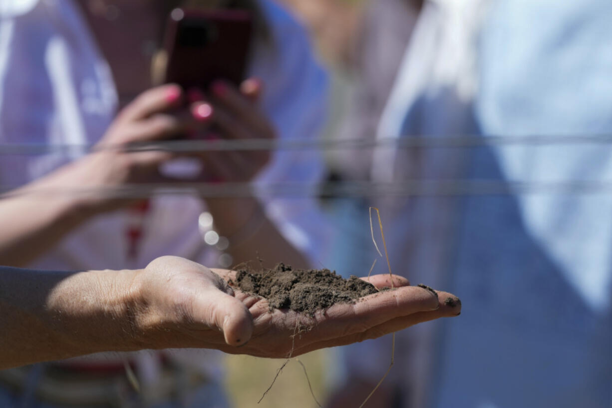 Ivo Jeramaz, left, holds up soil from a Grgich Hills Estate vineyard while talking to Ukrainian winemakers about regenerative farming Wednesday, June 5, 2024, in American Canyon, Calif. (AP Photo/Godofredo A.