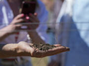 Ivo Jeramaz, left, holds up soil from a Grgich Hills Estate vineyard while talking to Ukrainian winemakers about regenerative farming Wednesday, June 5, 2024, in American Canyon, Calif. (AP Photo/Godofredo A.