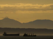 Ships on Elliott Bay are silhouetted against the evening sun, Wednesday, June 12, 2024, in Seattle.