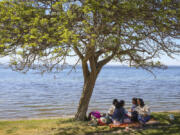 A family share a moment underneath the shade by Alki Beach in Seattle on May 10.