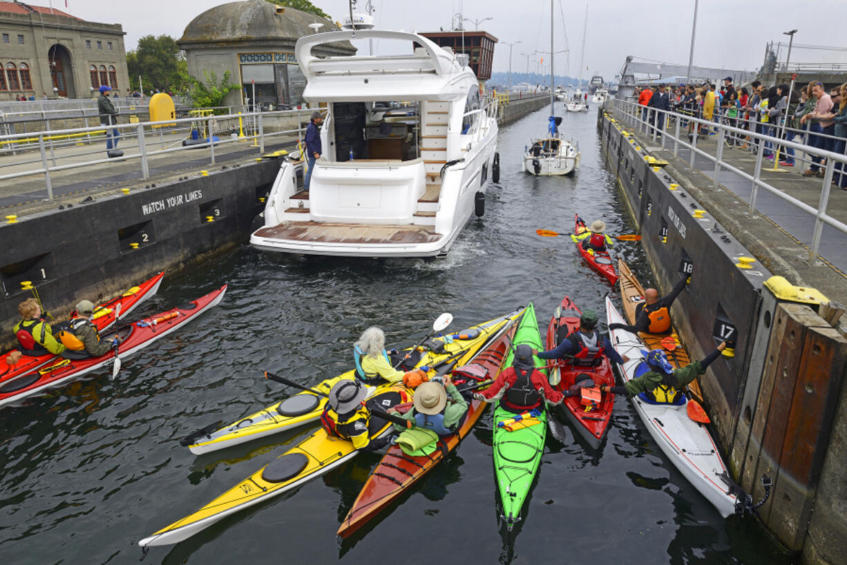 Kayaks join boats in the Ballard Locks in Seattle.