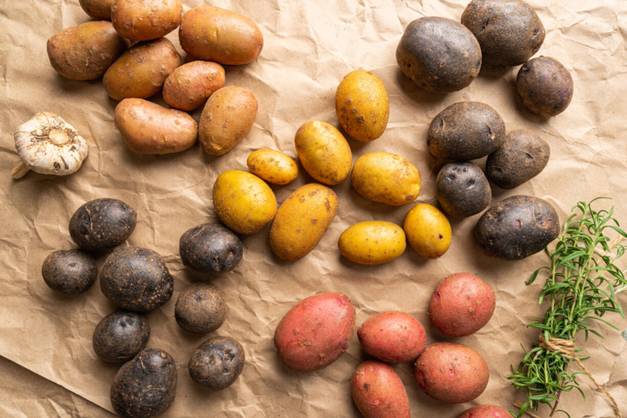 One of the keys to great potato salad is using the right potato for the job.