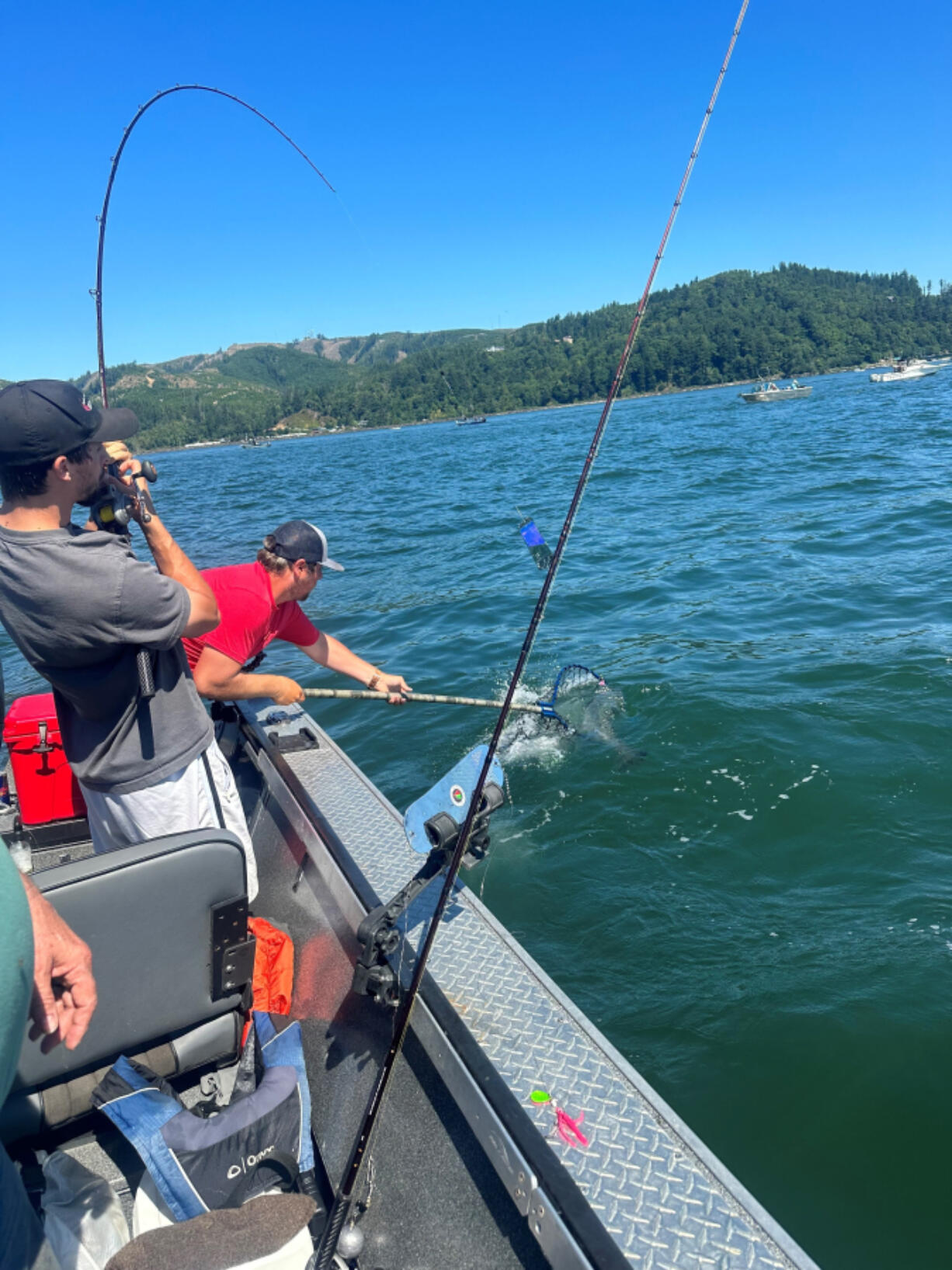 Brandon Powers nets a Buoy Ten Chinook last year for a client. Prospects are good for this year&rsquo;s fishery, with over 550,00 Chinook expected back to the Columbia River.