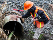 Austin Richard, stewardship ecologist for the Tulalip Tribes, measures the BNSF culvert on the Edgecomb Creek in Arlington, Washington, on Jan. 5, 2024.