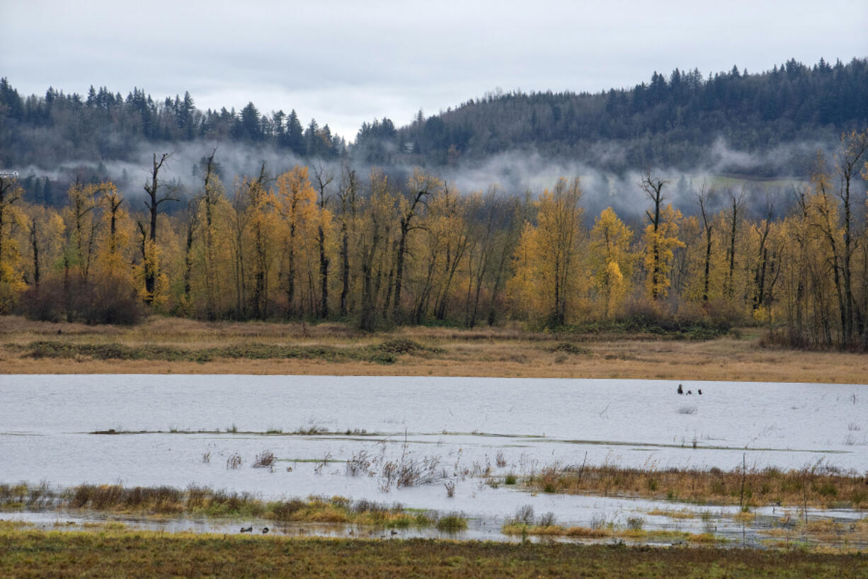 Lingering fall color is seen at Steigerwald Lake National Wildlife Refuge as low-lying clouds provide a scenic backdrop in December 2023.  The Port of Camas-Washougal and U.S. Fish and Wildlife&rsquo;s negotiations for a land swap are nearly complete.