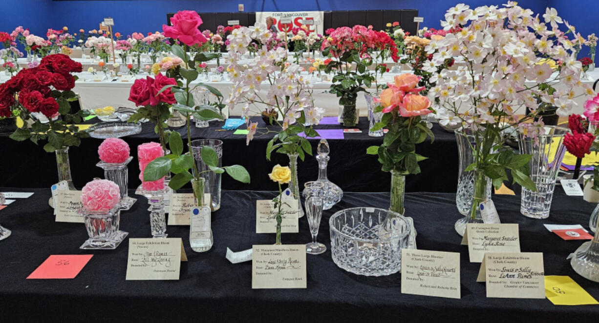 The Fort Vancouver Rose Society&rsquo;s 69th annual rose show displayed some 1,500 blooms.