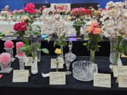 The Fort Vancouver Rose Society&rsquo;s 69th annual rose show displayed some 1,500 blooms.