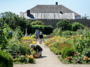 Volunteer Cheryl Riley works at the entrance to the Fort Vancouver National Historic Site garden as visitors enjoy the view.