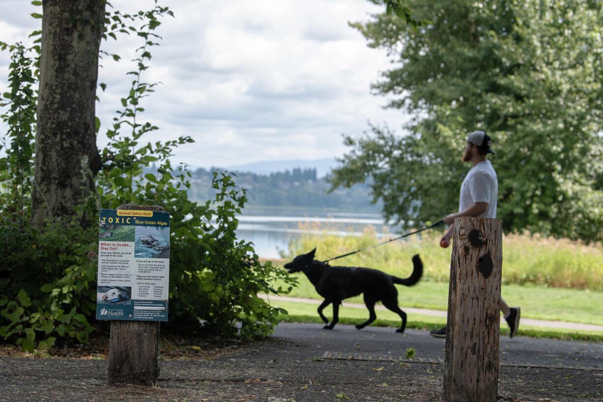 Signs warn visitors of toxic algae blooms at Vancouver Lake on Thursday afternoon. The county is spraying the lake with algaecide in an attempt to prevent a toxic bloom.